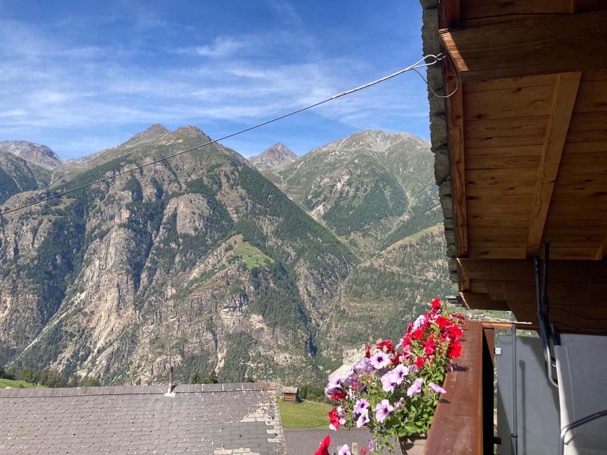 Haus Dorfblick Lägenhet Grächen Exteriör bild